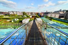 walkway on top of a glass roof